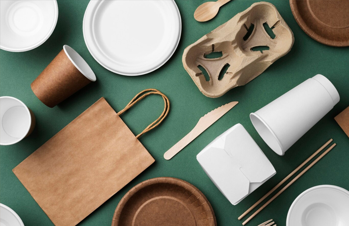 Bol de hârtie de salată: Ghid pentru tipuri, utilizare și compost