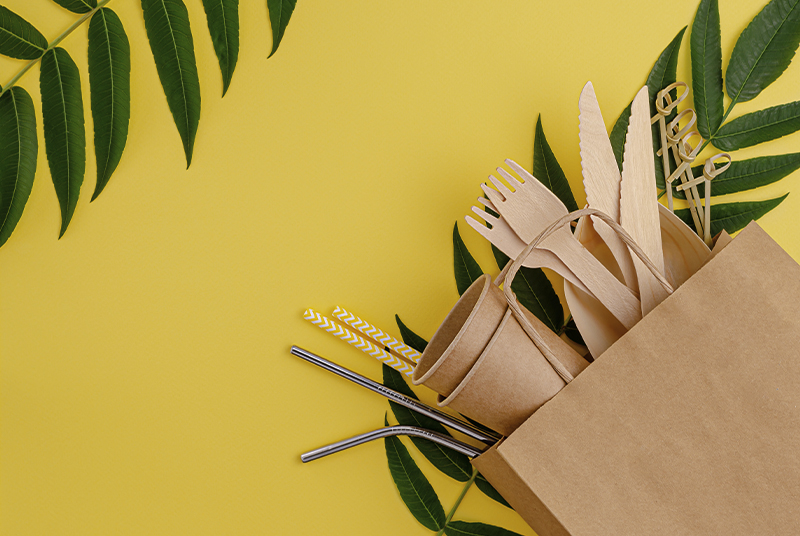 Vasele de unică folosință vor polua mediul?