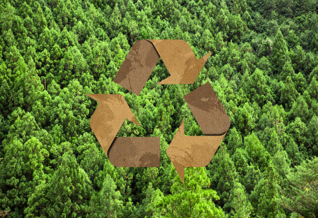 Ghidul FSC, EUDR și PEFC pentru achiziționarea de consumabile de catering de unică folosință