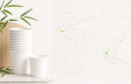 Ce contează drept „Eco-Friendly”? Asia de Sud-Est vs. Europa
